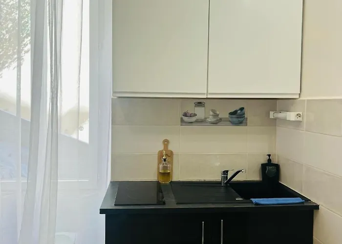 Nesma Pres De La Port Vendres